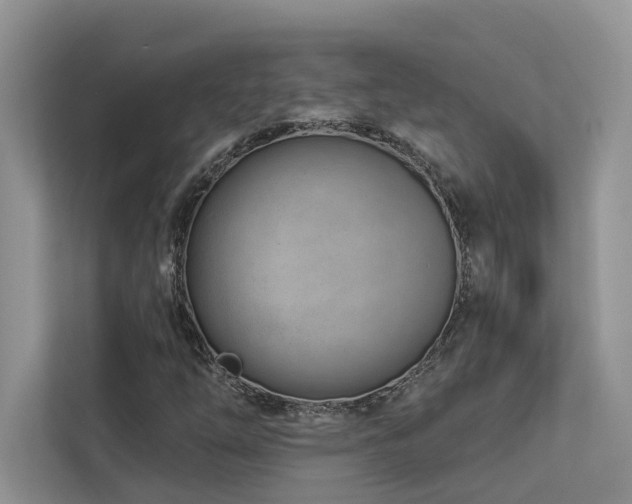X0000112981254200908271136