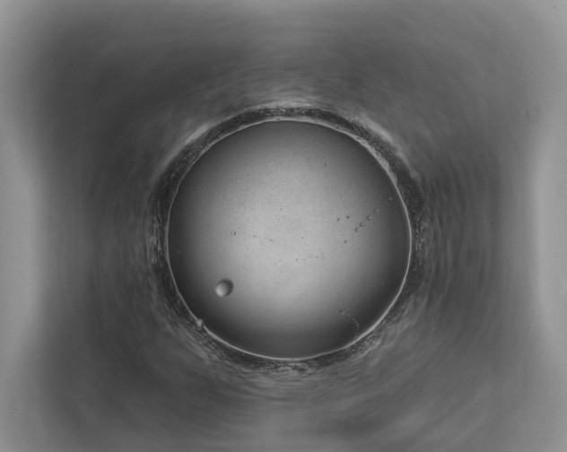 X0000112981255200908271136