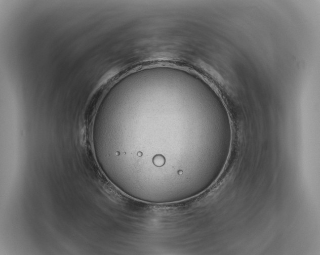 X0000112981258200908271136
