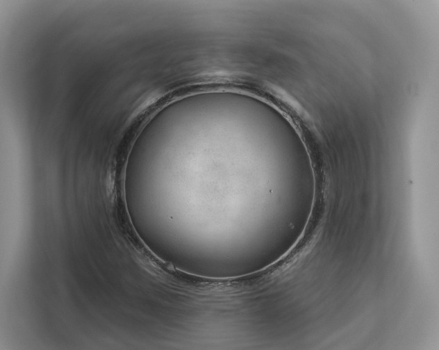 X0000112981259200908271136