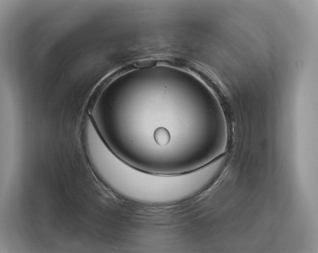 X0000112981260200908271136