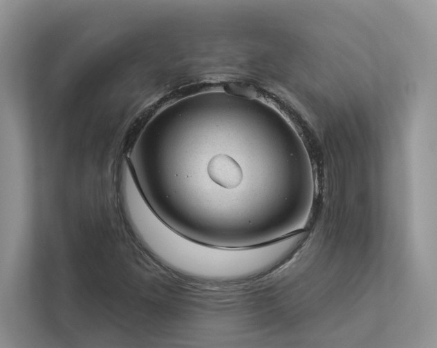 X0000112981261200908271136