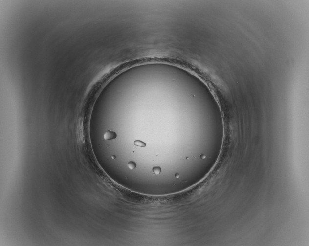 X0000112981262200908271136
