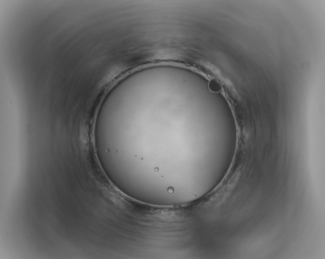 X0000112981266200908271136