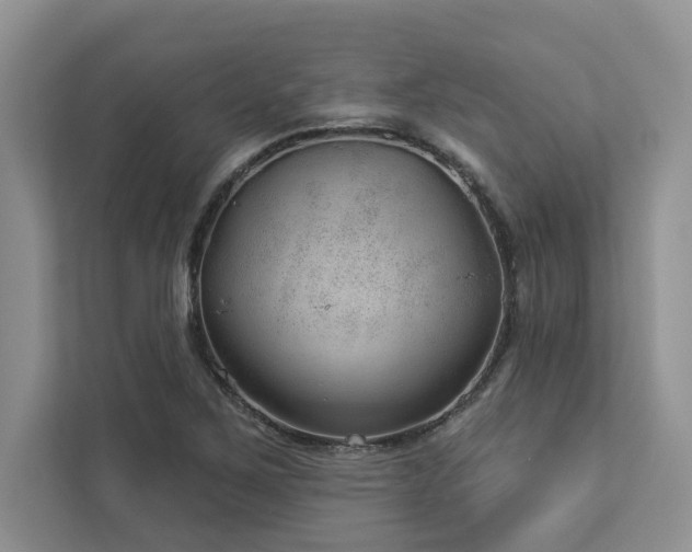 X0000112981267200908271136