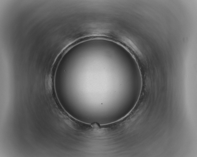 X0000112981268200908271136