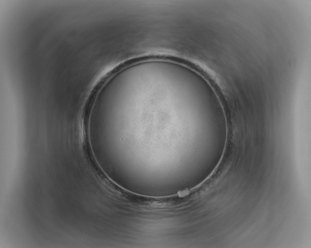 X0000112981271200908271136