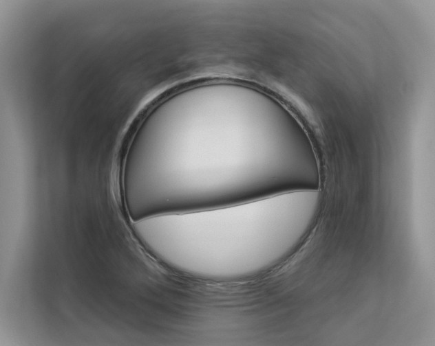 X0000112981272200908271136