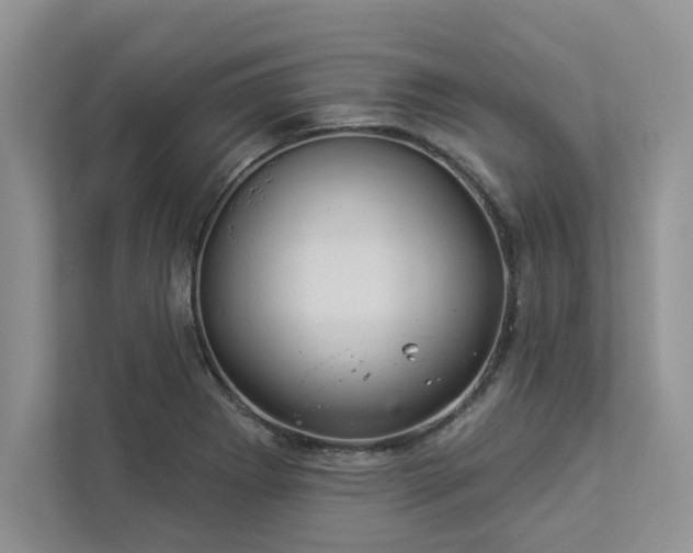 X0000112981273200908271136
