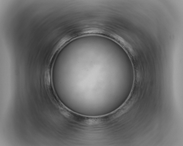 X0000112981274200908271136