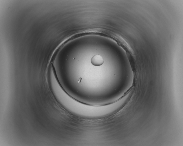 X0000112981276200908271136