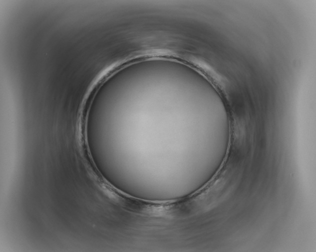 X0000112981278200908271136