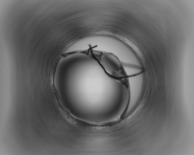 X0000112981281200908271136