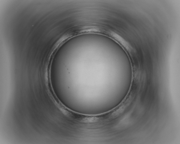 X0000112981282200908271136