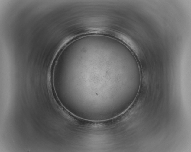 X0000112981283200908271136