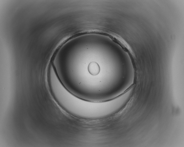 X0000112981285200908271136