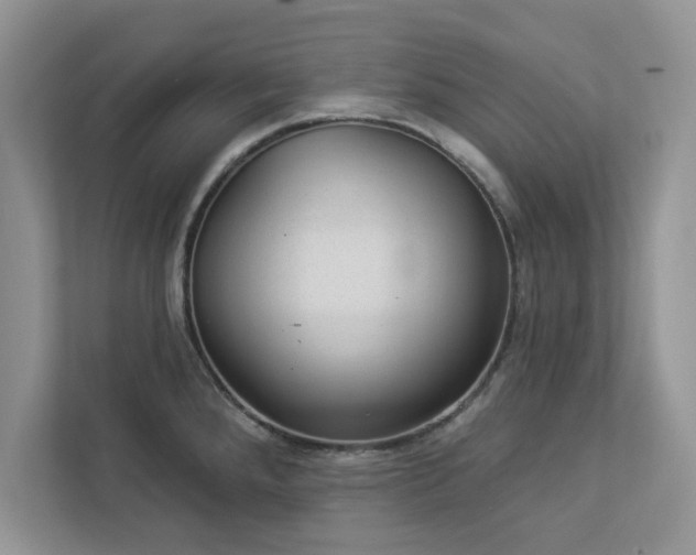 X0000112981288200908271136
