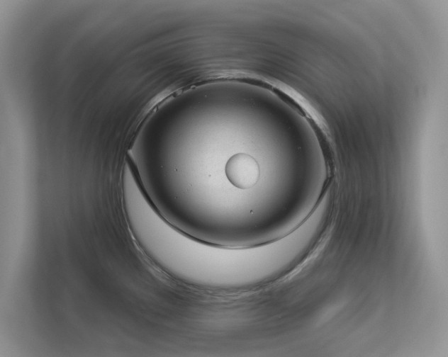 X0000112981289200908271136