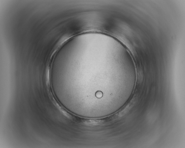 X0000112981290200908271136