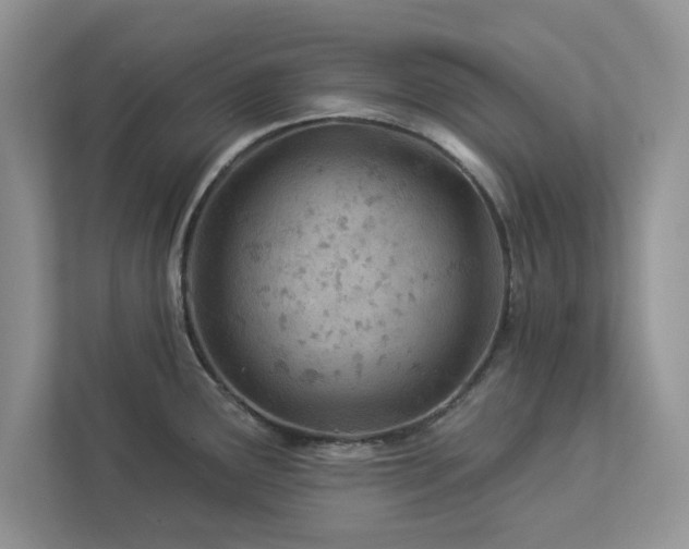 X0000112981291200908271136