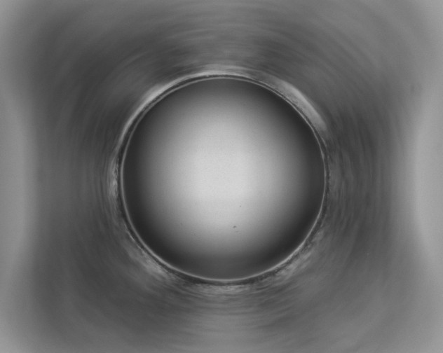 X0000112981292200908271136