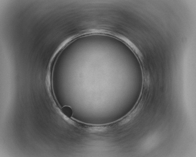 X0000112981294200908271135