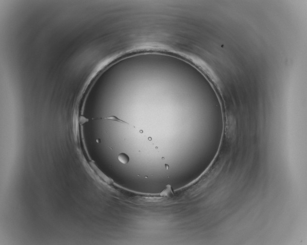 X0000112981295200908271135