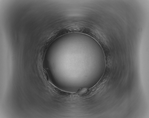 X0000112981297200908271135