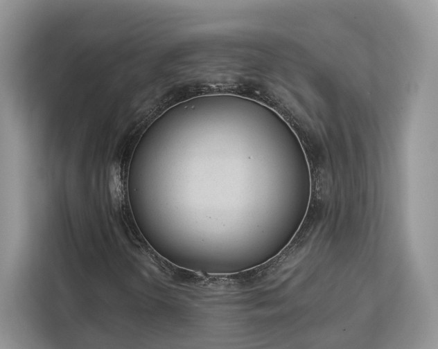 X0000112981298200908271135