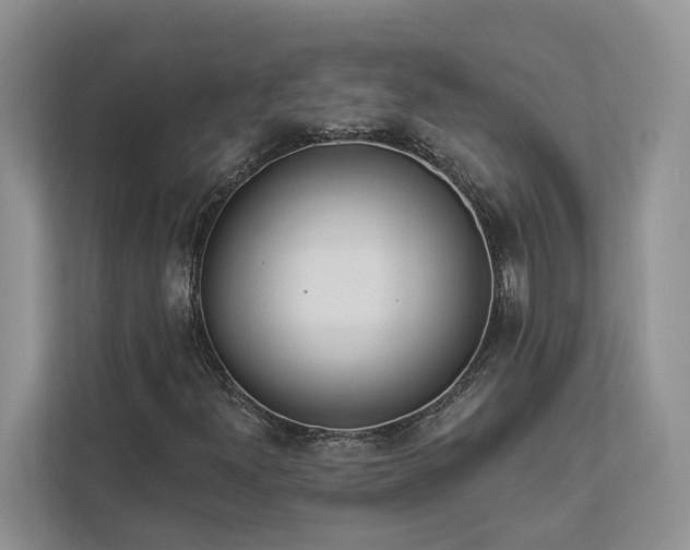 X0000112981300200908271135
