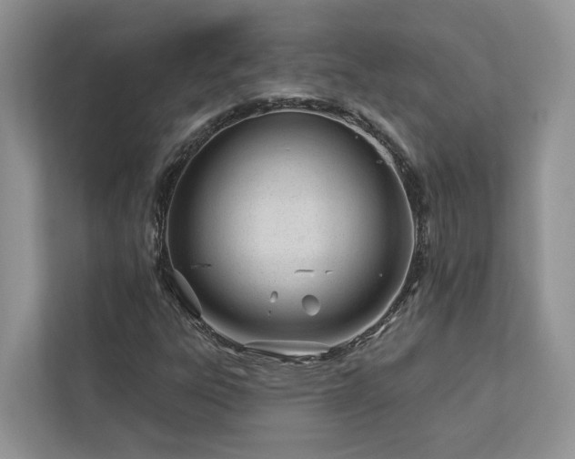 X0000112981303200908271135