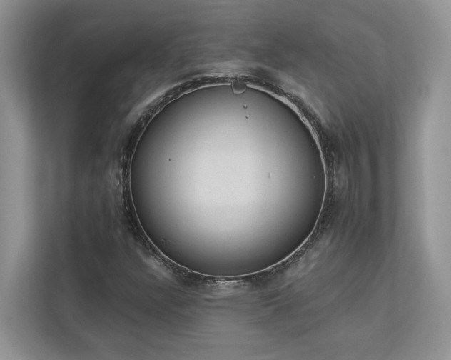 X0000112981304200908271135