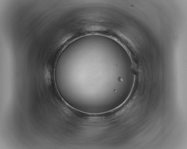 X0000112981305200908271135