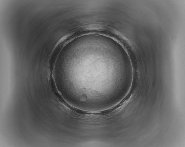 X0000112981306200908271135