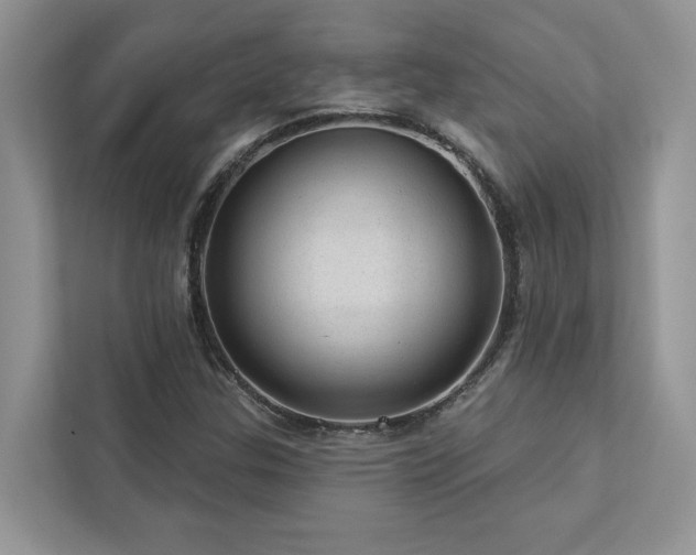 X0000112981307200908271135