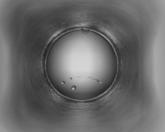 X0000112981308200908271135