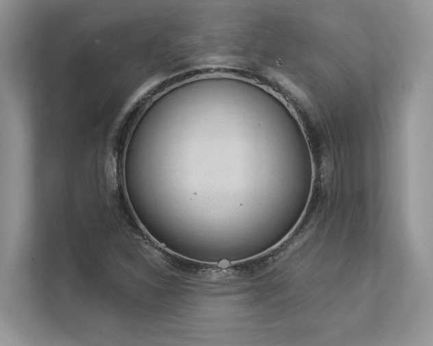 X0000112981310200908271135