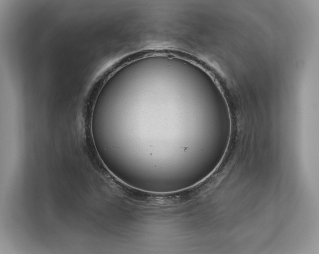 X0000112981311200908271135