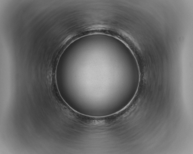 X0000112981313200908271135