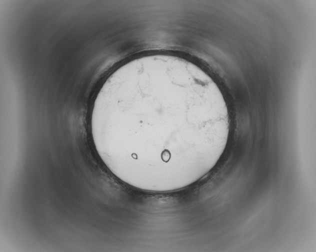 X0000112981314200908271135