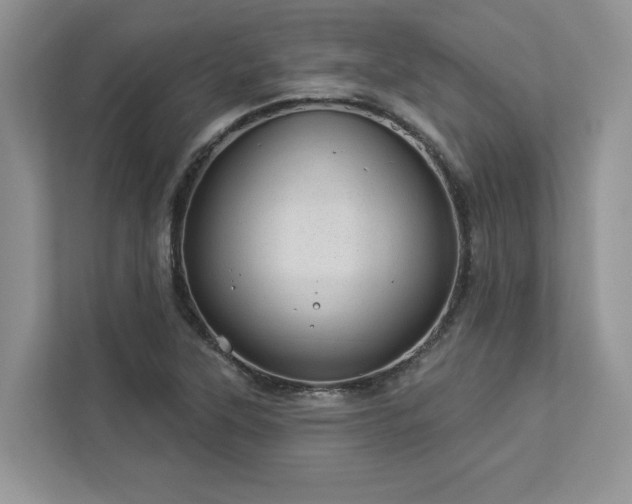 X0000112981315200908271135