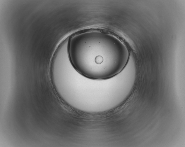 X0000112981316200908271135