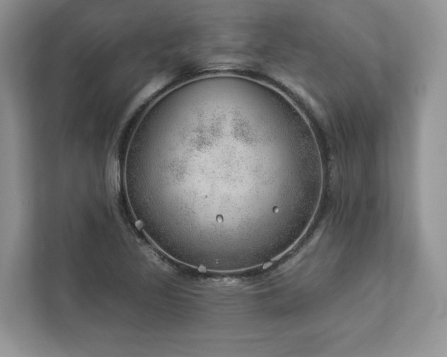 X0000112981317200908271135