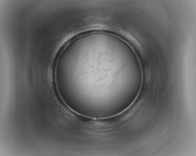 X0000112981318200908271135