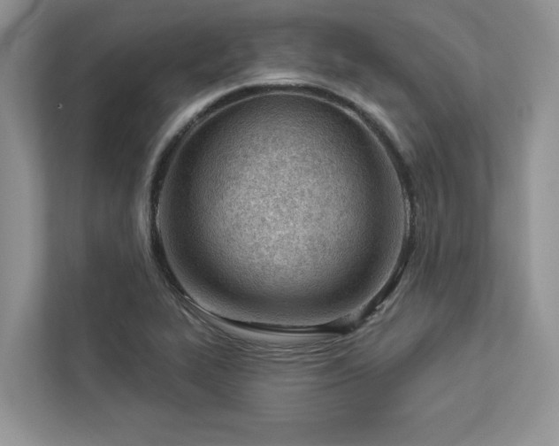 X0000112981319200908271135