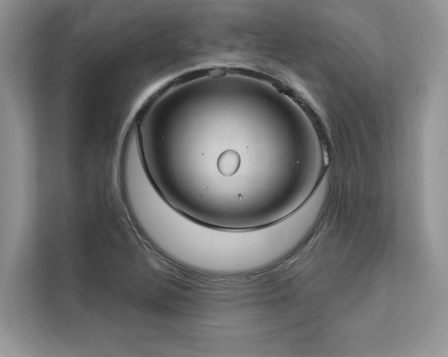 X0000112981320200908271135
