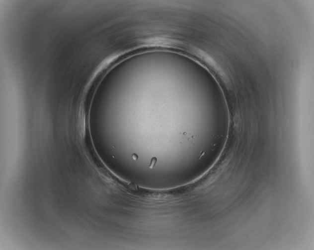 X0000112981323200908271135