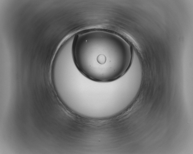 X0000112981324200908271135