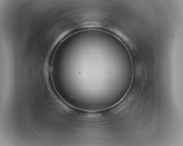 X0000112981325200908271135
