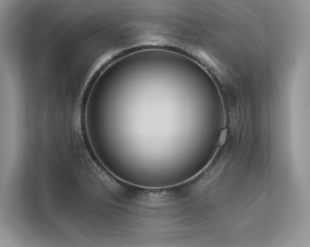 X0000112981326200908271135